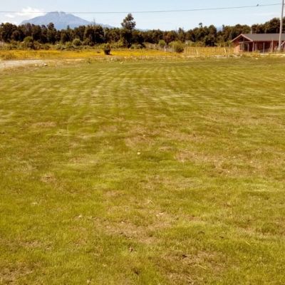 IMG-20170515-WA0021 (Medium)